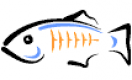 GlassFish oktatás Magyarország