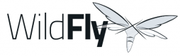 Wildfly oktatás Magyarország